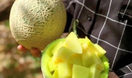 娱乐吃瓜制作,吃瓜群众必看的幕后故事