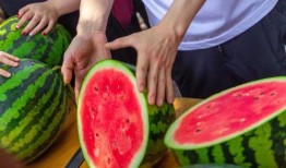 免费吃瓜网页,畅享网络娱乐盛宴